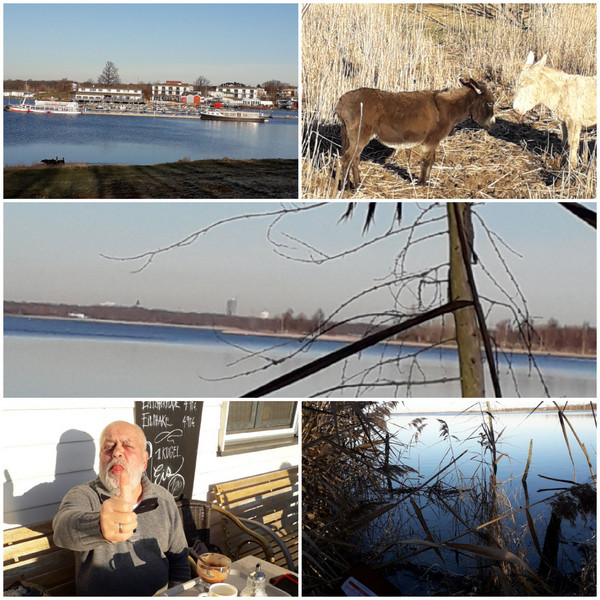 5 Bilder zu eienr Collage angeordnet. Oben links: HAfen, Oben rechts: Esel, Mitte: Seeufer, Untern links: Mann auf einer Bank eines Cafés in der Sonne hält den Daumen hoch, unten rechts: Schilf am Seeufer